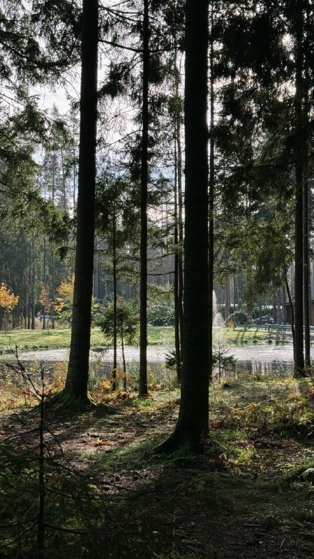 Доброе утро! Сегодня то самое осеннее настроение, когда хочется укутаться в шарф, взять кофе и пойти гулять… — фото 2 из 3