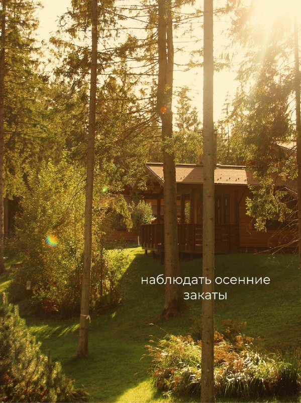 Что делать осенью в «Охта Парке»? Осенью всё меняется. Лес постепенно становится золотым, по утрам в воздухе… — фото 3 из 10