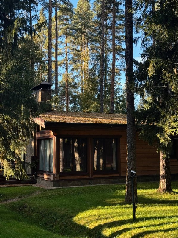 Еще немного лета в «Охта Парке»! На следующей неделе начнется бабье лето! Метеорологи обещают до +18 °C… — фото 4 из 9