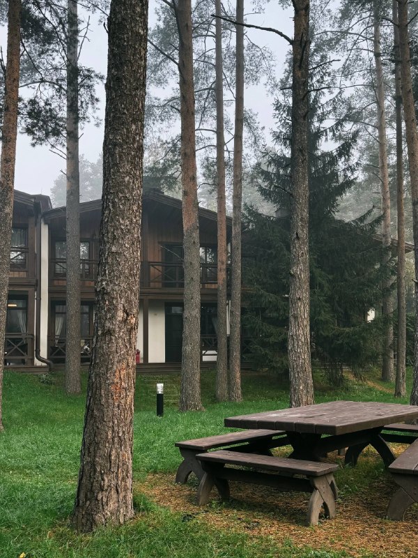 Таинственное утро в «Охта Парке» Сегодня утром курорт почти полностью спрятался в тумане. Сосны едва видны… — фото 3 из 7