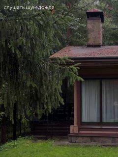 Что делать осенью в «Охта Парке»? Осенью всё меняется. Лес постепенно становится золотым, по утрам в воздухе… — фото 4 из 10