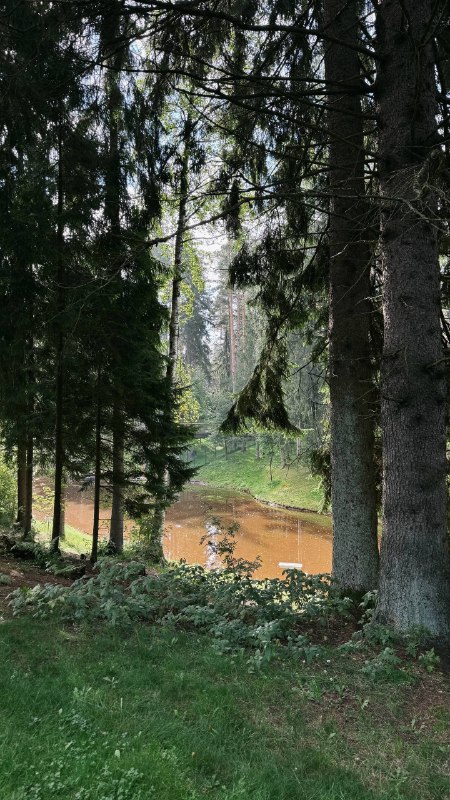 Доброе утро! Отдохните от городской суеты на курорте «Охта Парк» — прогуляйтесь по лесу, после сходите… — фото 2 из 3