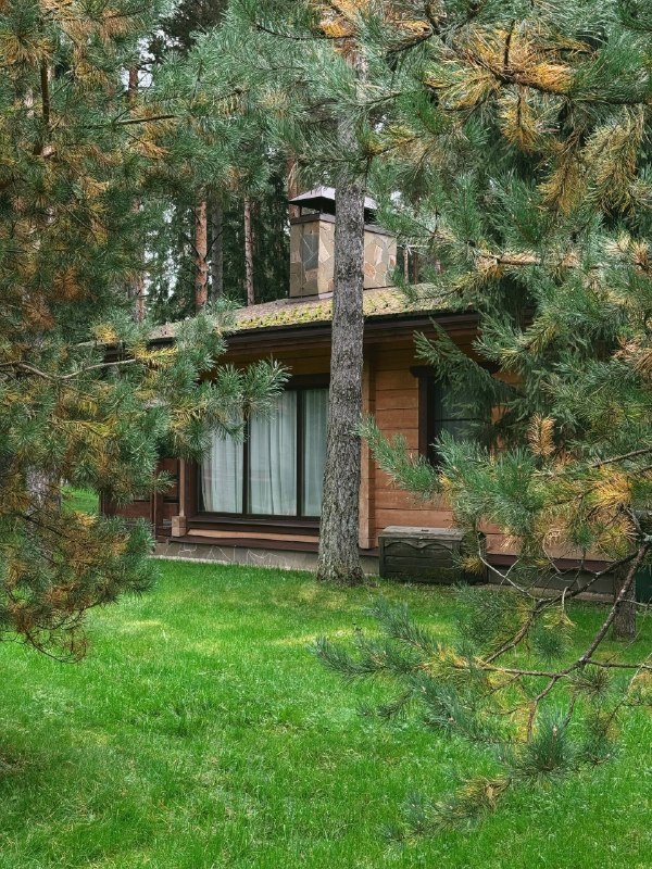 У нас грандиозные планы на выходные! 12 и 13 сентября на курорте «Охта Парк» пройдёт сразу несколько событий… — фото 9 из 9