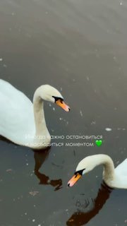 Ваша идеальная свадьба на курорте Платье невесты и костюм жениха, церемония, фотографии, банкет, гости – в…