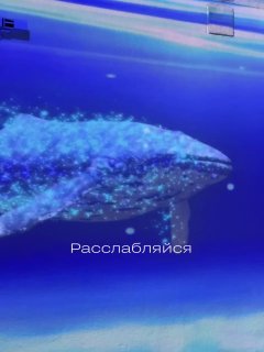 Где искать вдохновенье? Иногда у нас такой режим, что на мысли, которые не связаны с рабочими задачами… — фото 4 из 6