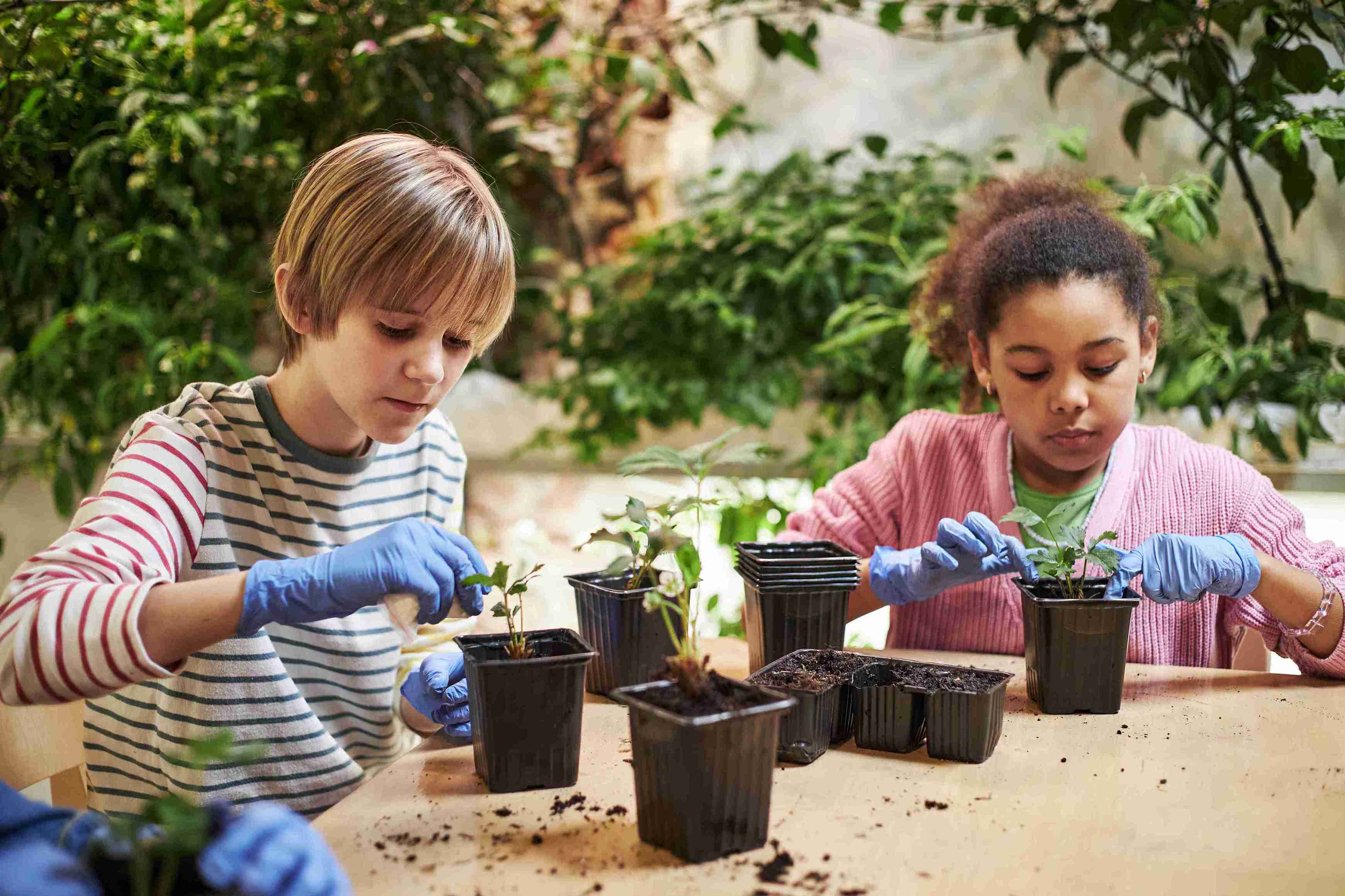 child_program