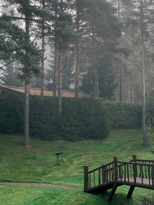 Таинственное утро в «Охта Парке» Сегодня утром курорт почти полностью спрятался в тумане. Сосны едва видны… — фото 6 из 7
