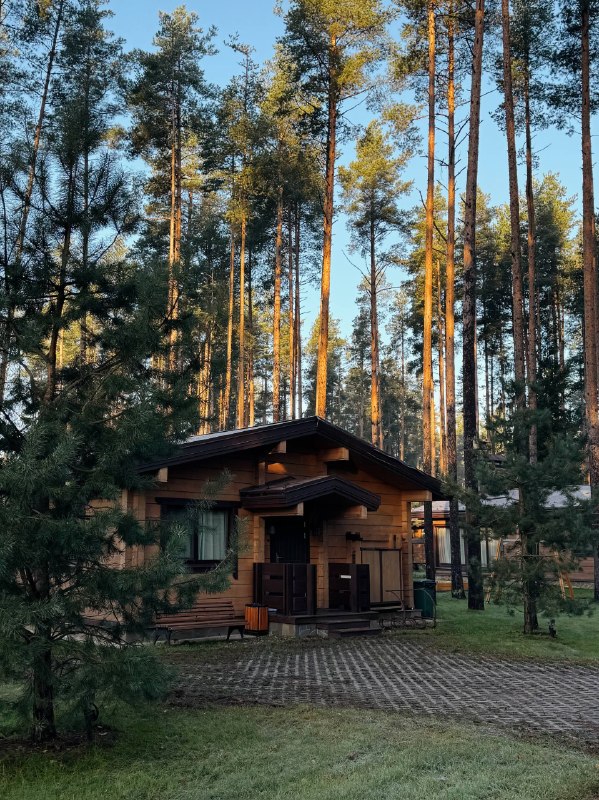 Доброе утро! Приезжайте в эти выходные в «Охта Парк» всей семьёй. Загляните к альпакам, прогуляйтесь по… — фото 1 из 3