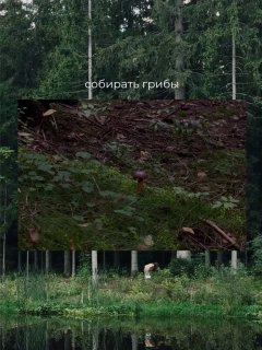 Что делать осенью в «Охта Парке»? Осенью всё меняется. Лес постепенно становится золотым, по утрам в воздухе… — фото 6 из 10