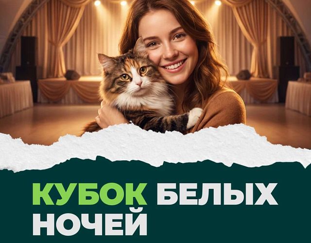 КУБОК БЕЛЫХ НОЧЕЙ: международная выставка кошек в «Охта Парке»!