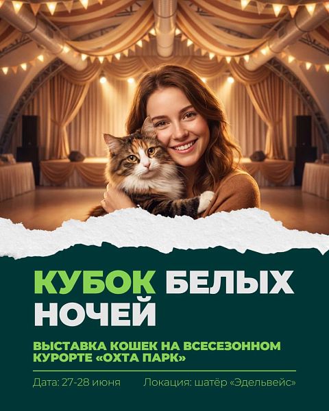 Новости