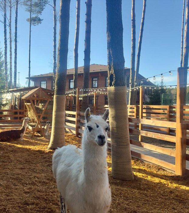 seo_block_images